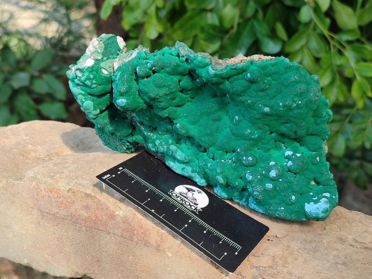 Natural Botryoidal Malachite Specimens x 2 From Congo - Toprock Gemstones and Minerals 