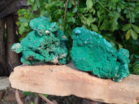 Natural Botryoidal Malachite Specimens x 2 From Congo