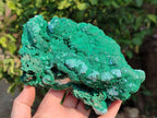 Natural Botryoidal Malachite Specimens x 2 From Congo - Toprock Gemstones and Minerals 