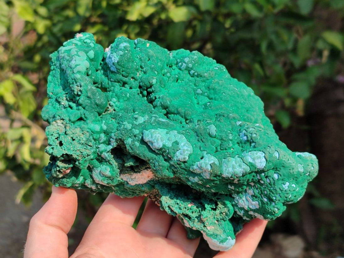 Natural Botryoidal Malachite Specimens x 2 From Congo - Toprock Gemstones and Minerals 