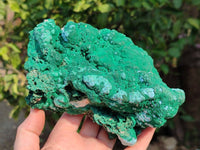 Natural Botryoidal Malachite Specimens x 2 From Congo