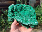 Natural Botryoidal Malachite Specimens x 2 From Congo - Toprock Gemstones and Minerals 