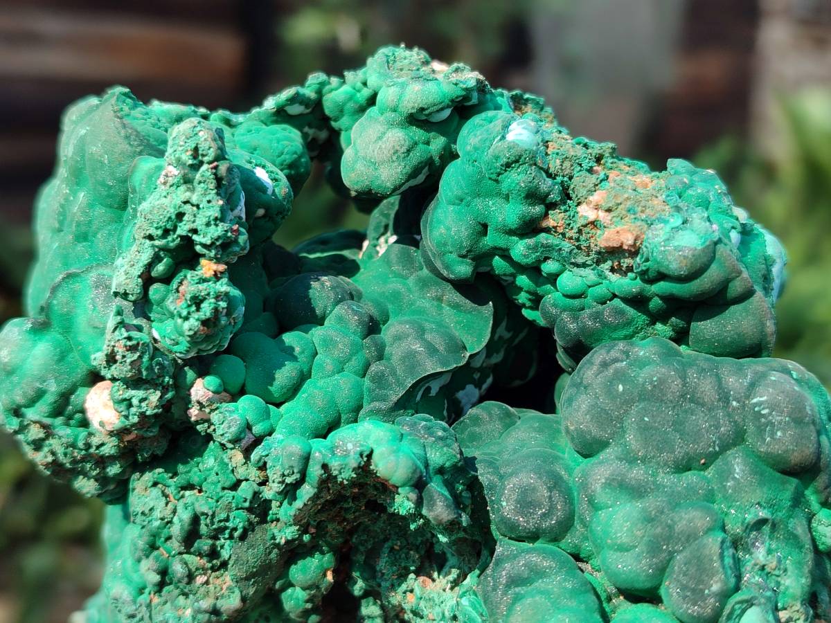 Natural Botryoidal Malachite Specimens x 2 From Congo - Toprock Gemstones and Minerals 