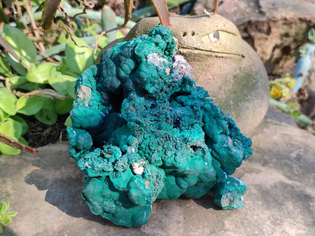 Natural Botryoidal Malachite Specimens x 2 From Congo - Toprock Gemstones and Minerals 