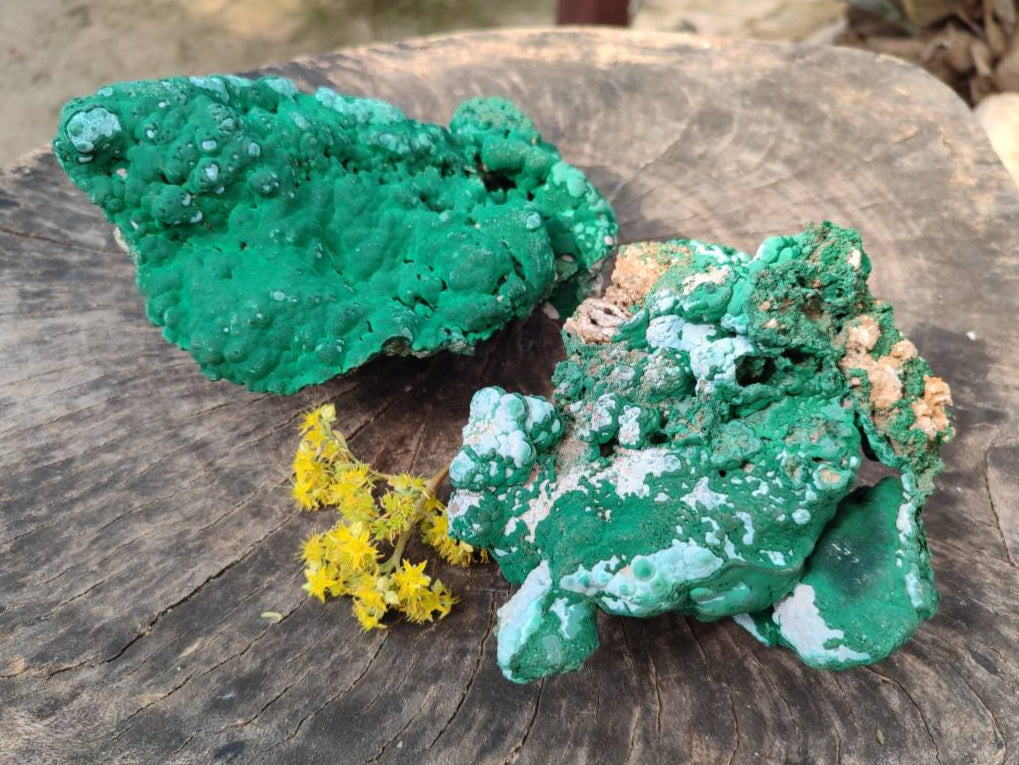 Natural Botryoidal Malachite Specimens x 2 From Congo - Toprock Gemstones and Minerals 