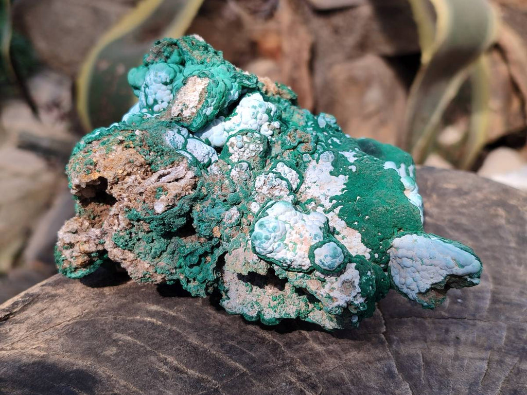 Natural Botryoidal Malachite Specimens x 2 From Congo - Toprock Gemstones and Minerals 