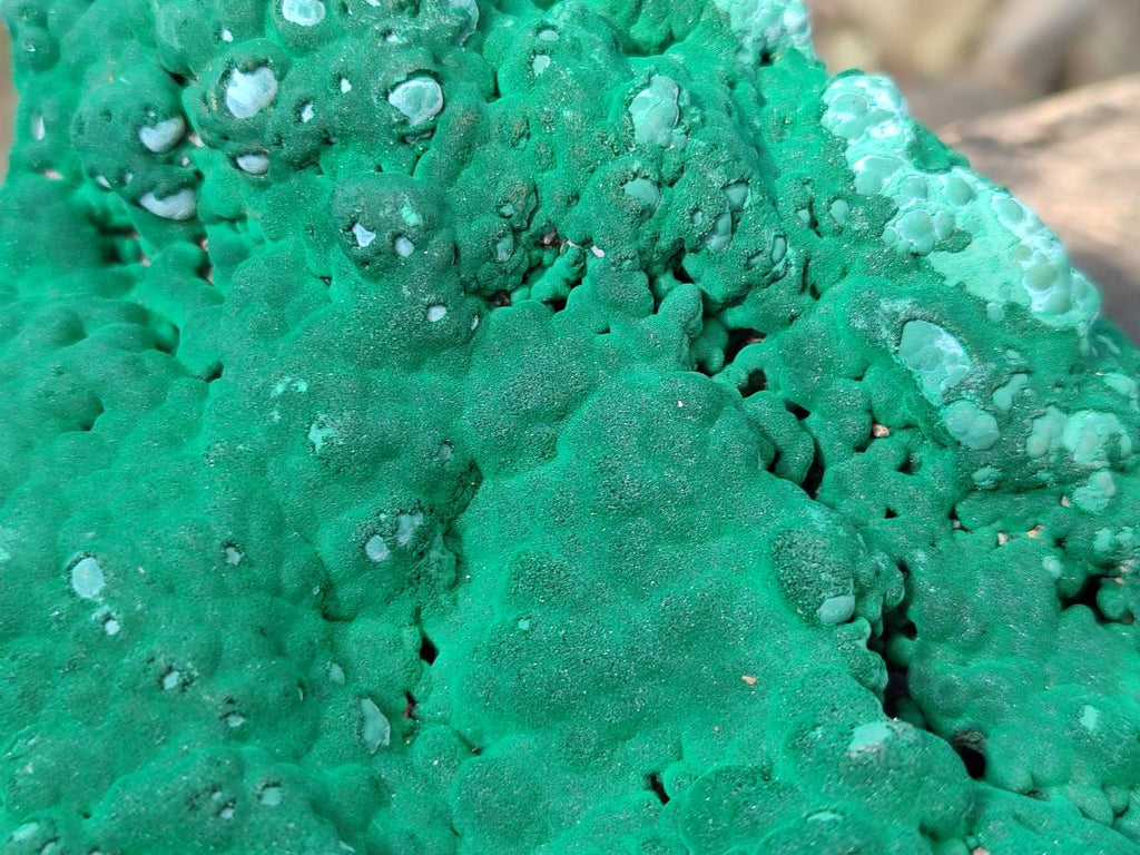 Natural Botryoidal Malachite Specimens x 2 From Congo - Toprock Gemstones and Minerals 