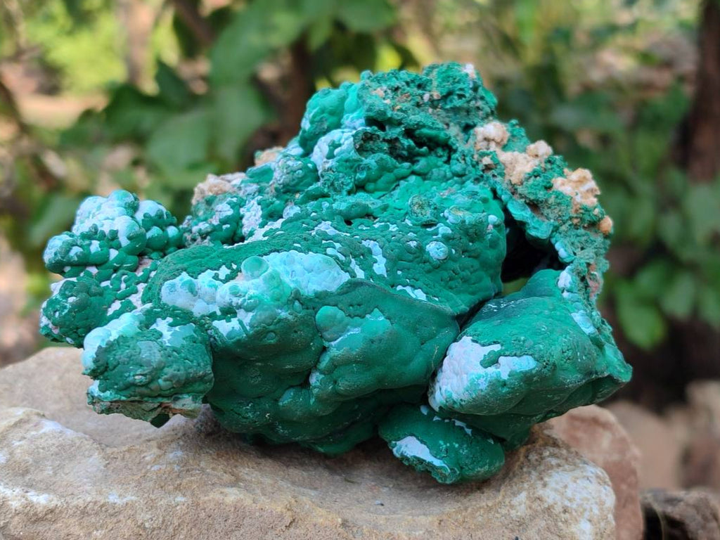 Natural Botryoidal Malachite Specimens x 2 From Congo - Toprock Gemstones and Minerals 