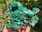 Natural Botryoidal Malachite Specimens x 2 From Congo - Toprock Gemstones and Minerals 