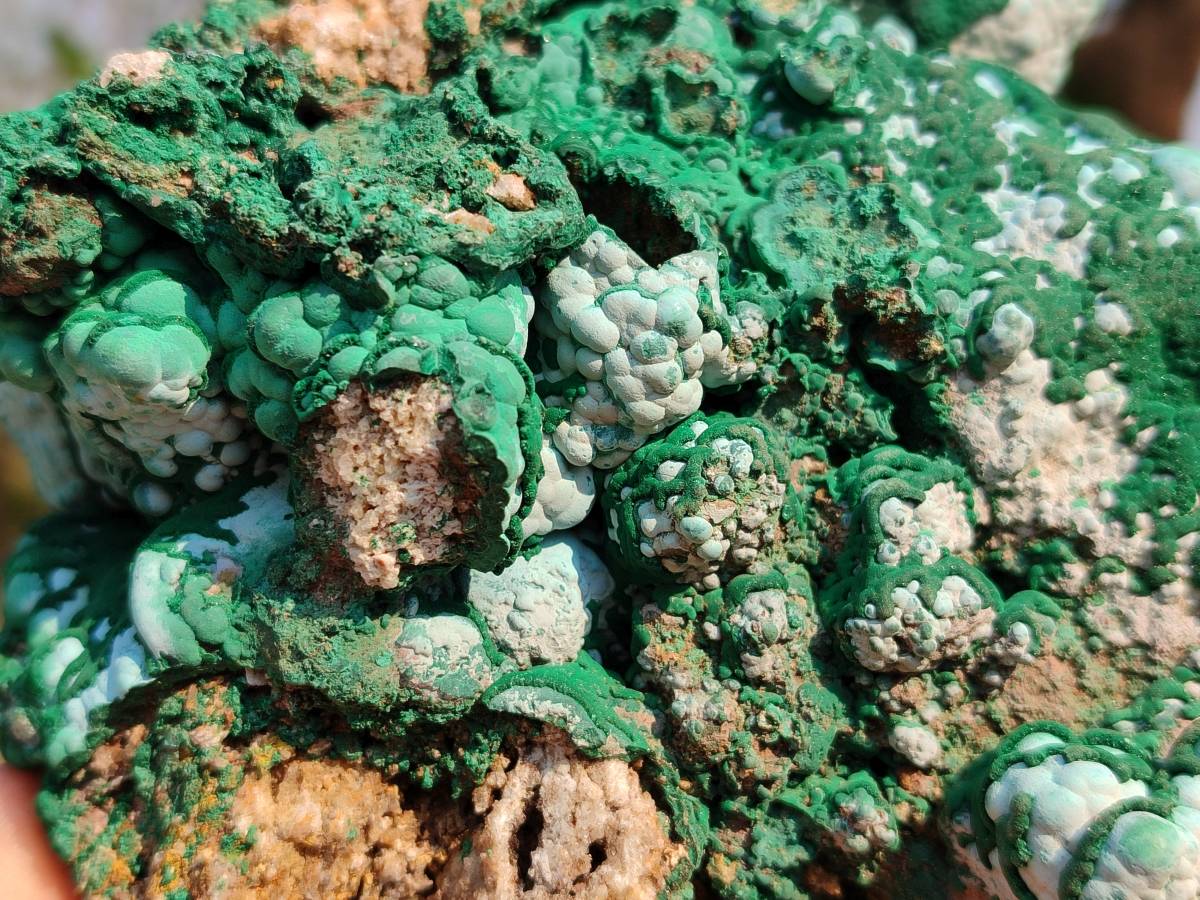 Natural Botryoidal Malachite Specimens x 2 From Congo - Toprock Gemstones and Minerals 