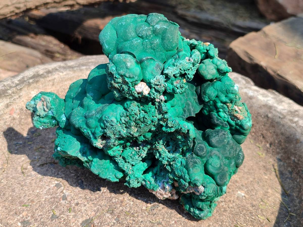 Natural Botryoidal Malachite Specimens x 2 From Congo - Toprock Gemstones and Minerals 