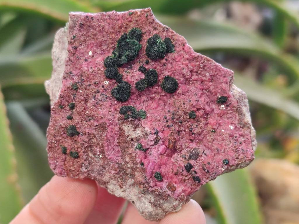 Natural Salrose Cobaltion Dolomite Specimens x 6 From Kakanda, Congo - Toprock Gemstones and Minerals 