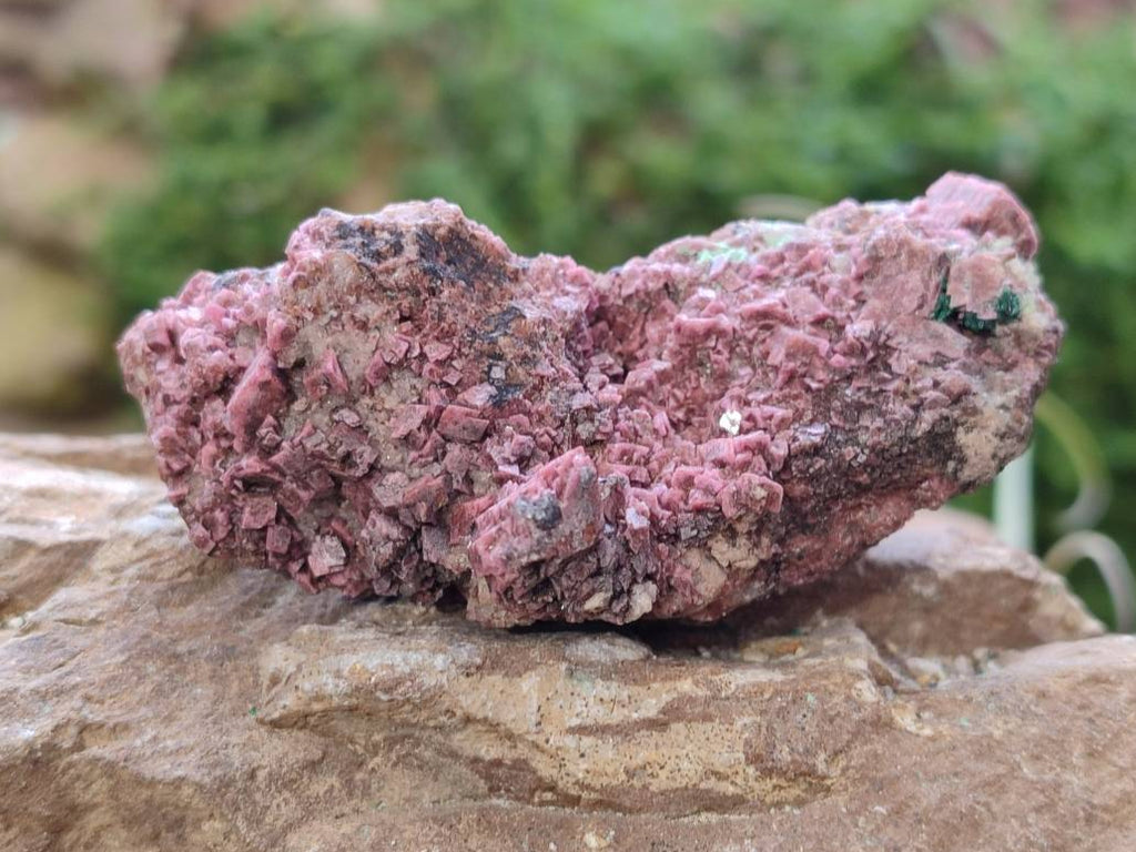 Natural Salrose Cobaltion Dolomite Specimens x 6 From Kakanda, Congo - Toprock Gemstones and Minerals 