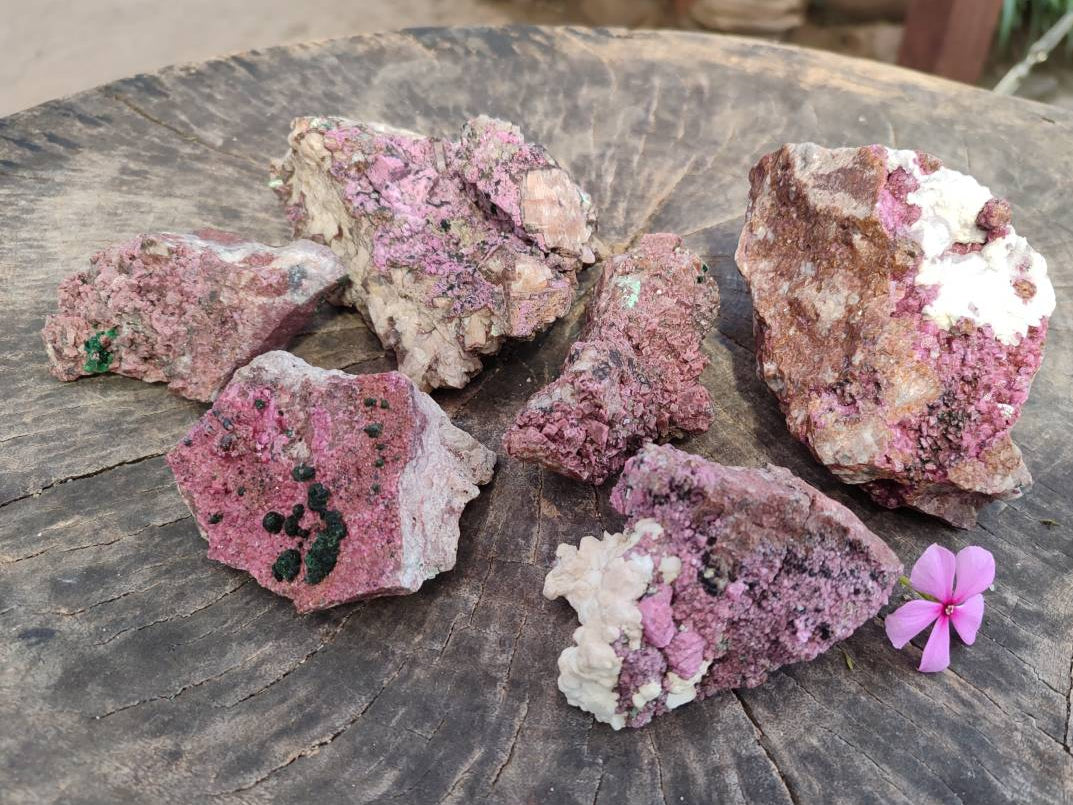 Natural Salrose Cobaltion Dolomite Specimens x 6 From Kakanda, Congo - Toprock Gemstones and Minerals 
