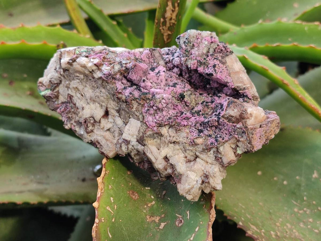 Natural Salrose Cobaltion Dolomite Specimens x 6 From Kakanda, Congo - Toprock Gemstones and Minerals 