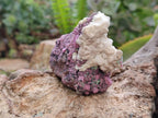 Natural Salrose Cobaltion Dolomite Specimens x 6 From Kakanda, Congo - Toprock Gemstones and Minerals 