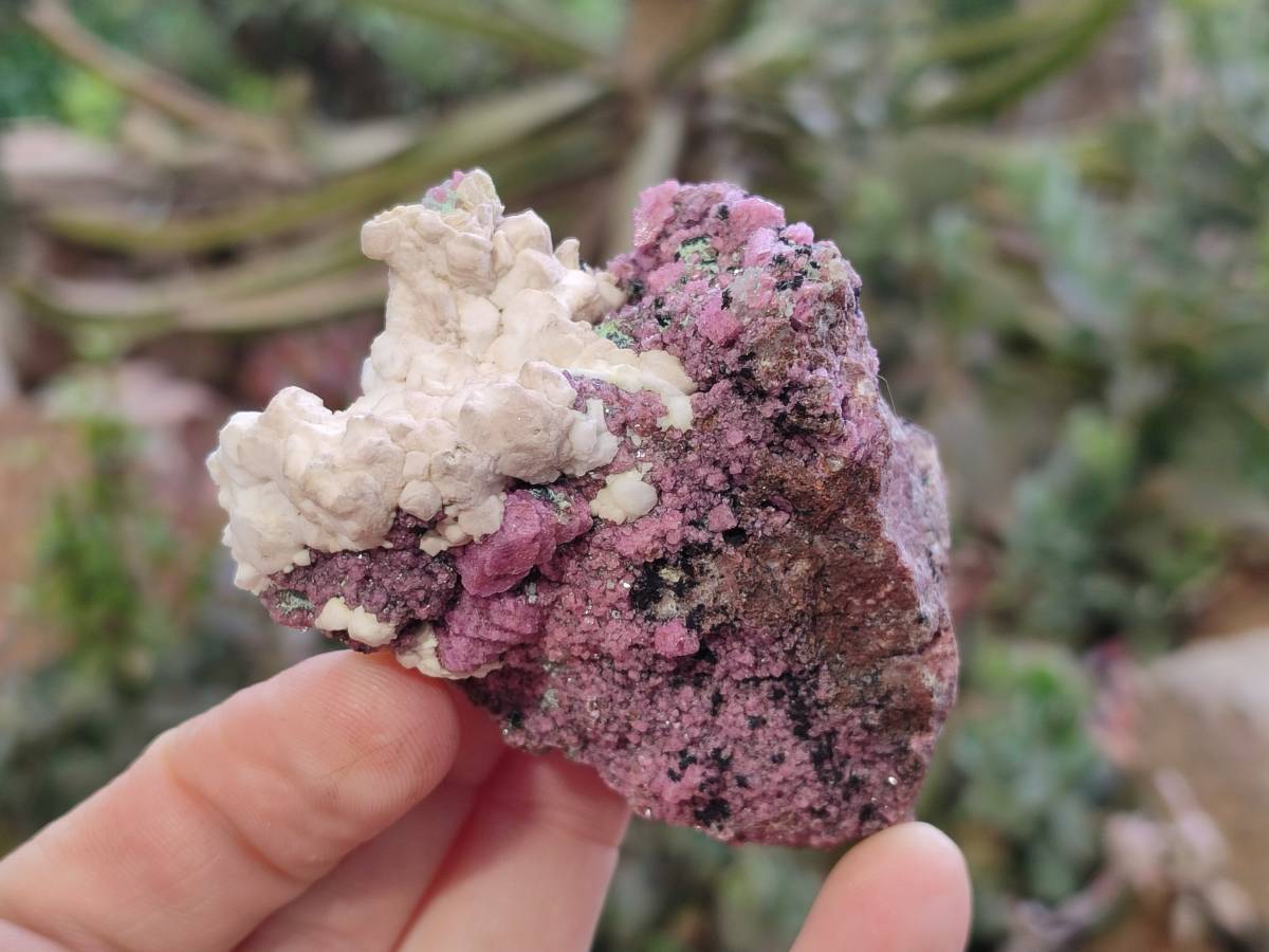 Natural Salrose Cobaltion Dolomite Specimens x 6 From Kakanda, Congo - Toprock Gemstones and Minerals 