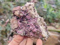 Natural Salrose Cobaltion Dolomite Specimens x 6 From Kakanda, Congo