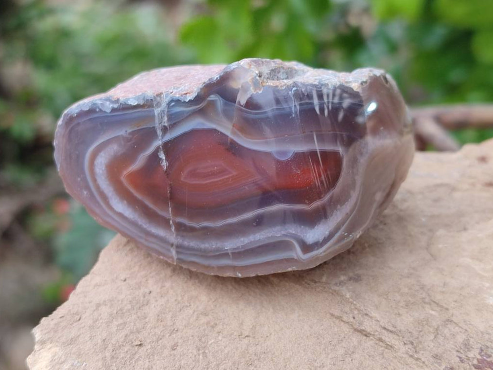 Polished Red Sashe River Agate Nodules x 28 From Sashe River, Zimbabwe - Toprock Gemstones and Minerals 