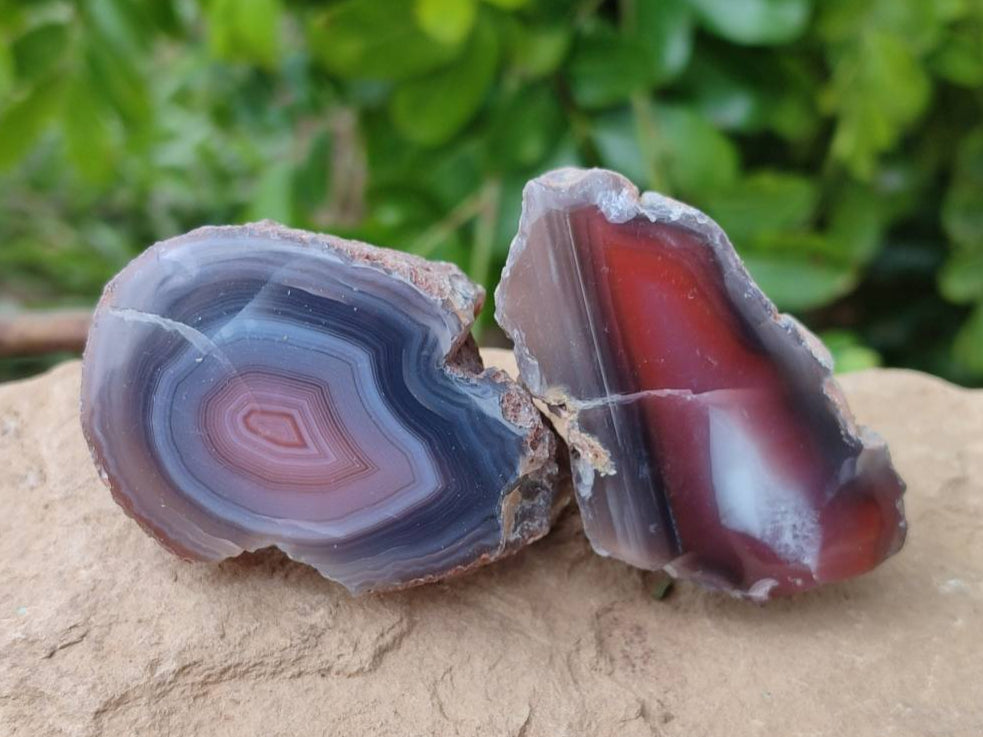 Polished Red Sashe River Agate Nodules x 28 From Sashe River, Zimbabwe - Toprock Gemstones and Minerals 