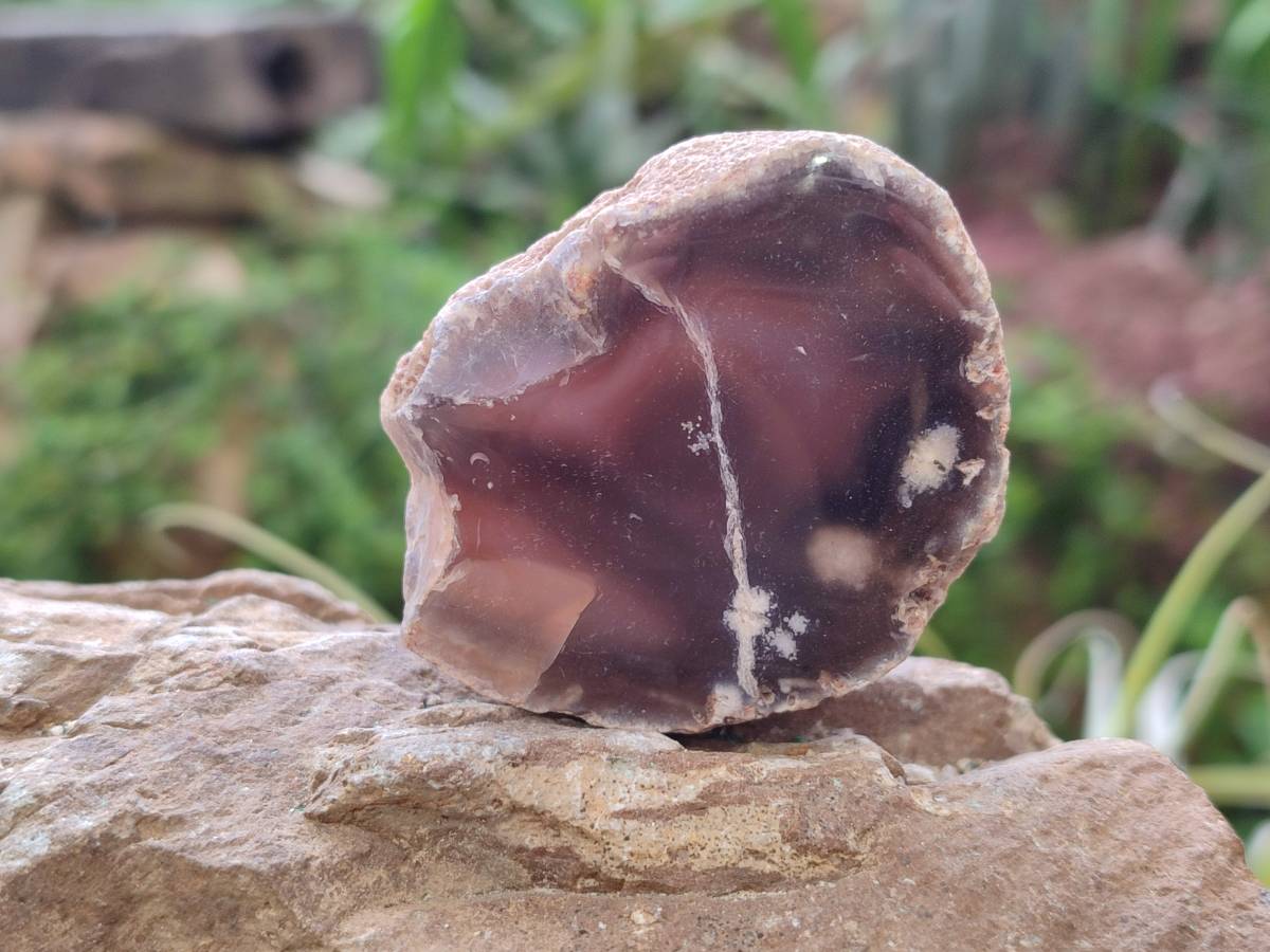 Polished Red Sashe River Agate Nodules x 28 From Sashe River, Zimbabwe - Toprock Gemstones and Minerals 