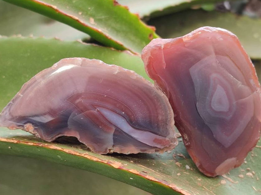 Polished Red Sashe River Agate Nodules x 28 From Sashe River, Zimbabwe - Toprock Gemstones and Minerals 