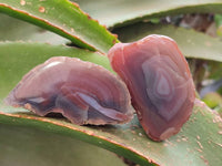 Polished Red Sashe River Agate Nodules x 28 From Sashe River, Zimbabwe - Toprock Gemstones and Minerals 
