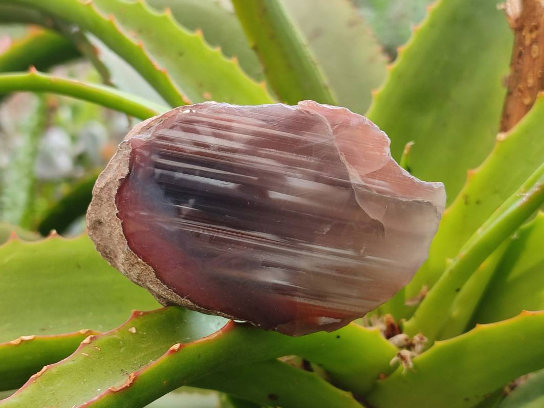 Polished Red Sashe River Agate Nodules x 28 From Sashe River, Zimbabwe - Toprock Gemstones and Minerals 
