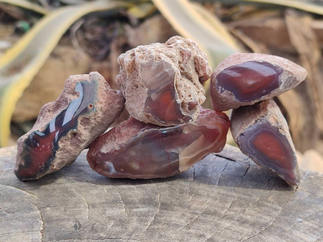 Polished Red Sashe River Agate Nodules x 28 From Sashe River, Zimbabwe - Toprock Gemstones and Minerals 
