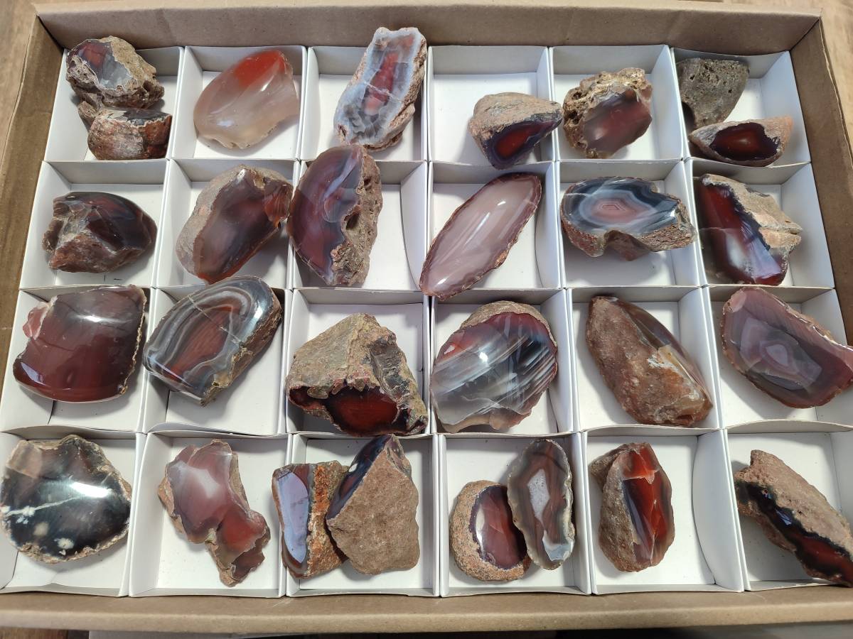 Polished Red Sashe River Agate Nodules x 28 From Sashe River, Zimbabwe - Toprock Gemstones and Minerals 