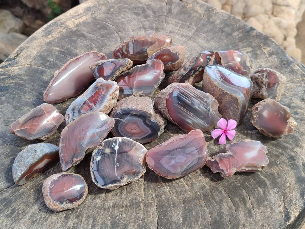 Polished Red Sashe River Agate Nodules x 28 From Sashe River, Zimbabwe - Toprock Gemstones and Minerals 