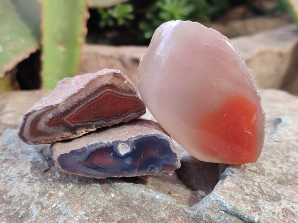 Polished Red Sashe River Agate Nodules x 28 From Sashe River, Zimbabwe - Toprock Gemstones and Minerals 