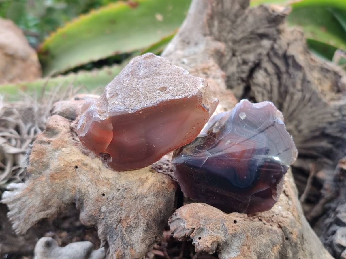 Polished Red Sashe River Agate Nodules x 28 From Sashe River, Zimbabwe - Toprock Gemstones and Minerals 