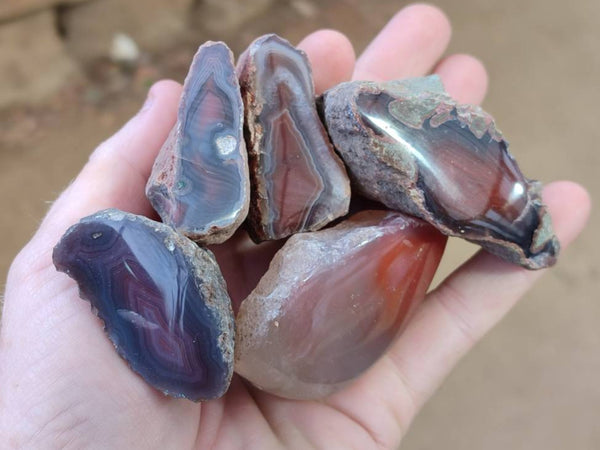Polished Red Sashe River Agate Nodules x 28 From Sashe River, Zimbabwe