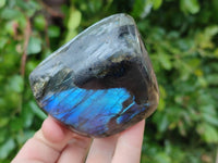 Polished Labradorite Standing Free Forms x 2 From Tulear, Madagascar