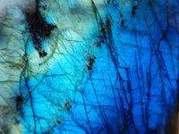 Polished Labradorite Standing Free Forms x 2 From Tulear, Madagascar