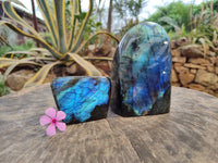 Polished Labradorite Standing Free Forms x 2 From Tulear, Madagascar