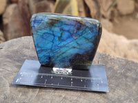 Polished Labradorite Standing Free Forms x 2 From Tulear, Madagascar