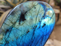 Polished Labradorite Standing Free Forms x 2 From Tulear, Madagascar