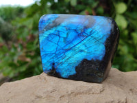 Polished Labradorite Standing Free Forms x 2 From Tulear, Madagascar