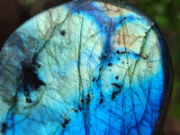 Polished Labradorite Standing Free Forms x 2 From Tulear, Madagascar