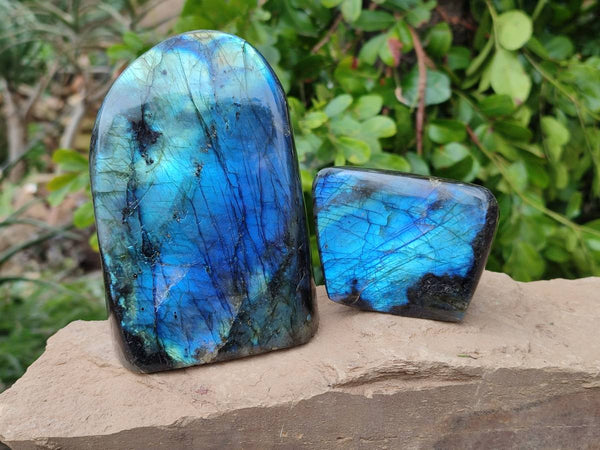 Polished Labradorite Standing Free Forms x 2 From Tulear, Madagascar
