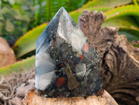 Polished Bloodstone Points x 3 From Swaziland
