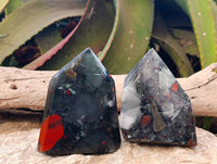 Polished Bloodstone Points x 3 From Swaziland