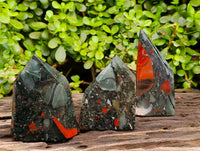 Polished Bloodstone Points x 3 From Swaziland