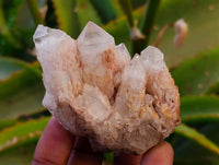 Natural Pink Hematoid Candle Quartz Clusters x 12 From Madagascar - Toprock Gemstones and Minerals 