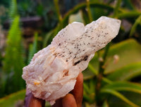 Natural Pink Hematoid Candle Quartz Clusters x 12 From Madagascar - Toprock Gemstones and Minerals 