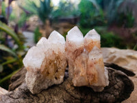 Natural Pink Hematoid Candle Quartz Clusters x 12 From Madagascar - Toprock Gemstones and Minerals 