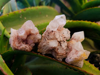 Natural Pink Hematoid Candle Quartz Clusters x 12 From Madagascar - Toprock Gemstones and Minerals 
