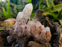 Natural Pink Hematoid Candle Quartz Clusters x 12 From Madagascar - Toprock Gemstones and Minerals 